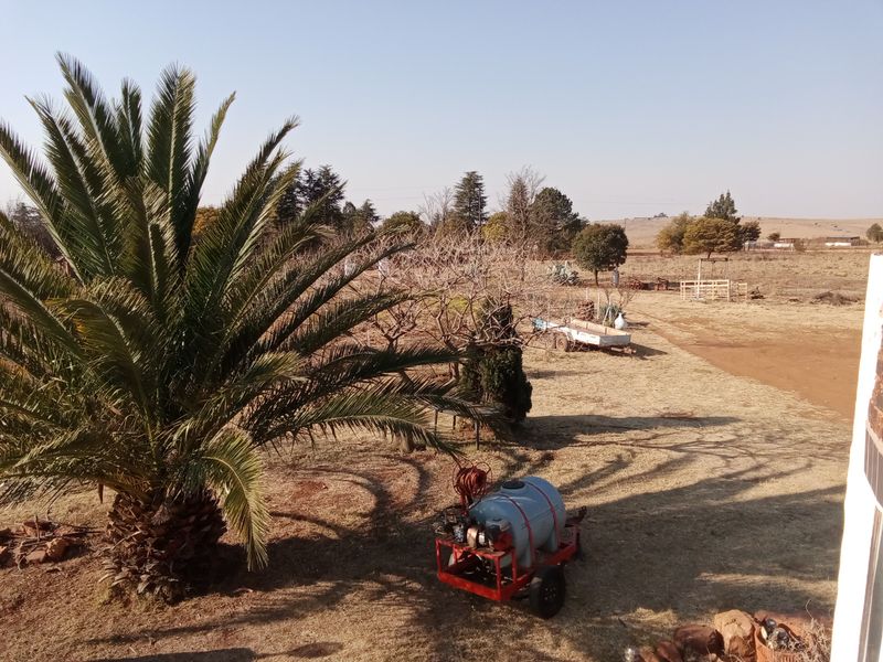 An expansive outdoor farm garden area featuring a large palm tree and open landscape views.