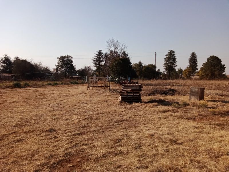 An expansive, dry open field on the farm property featuring mature trees, perimeter fencing, and a concrete foundation structure.