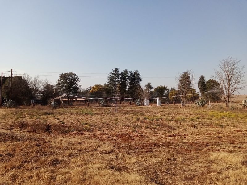An open farm field featuring an active overhead irrigation system and mature trees in the background.