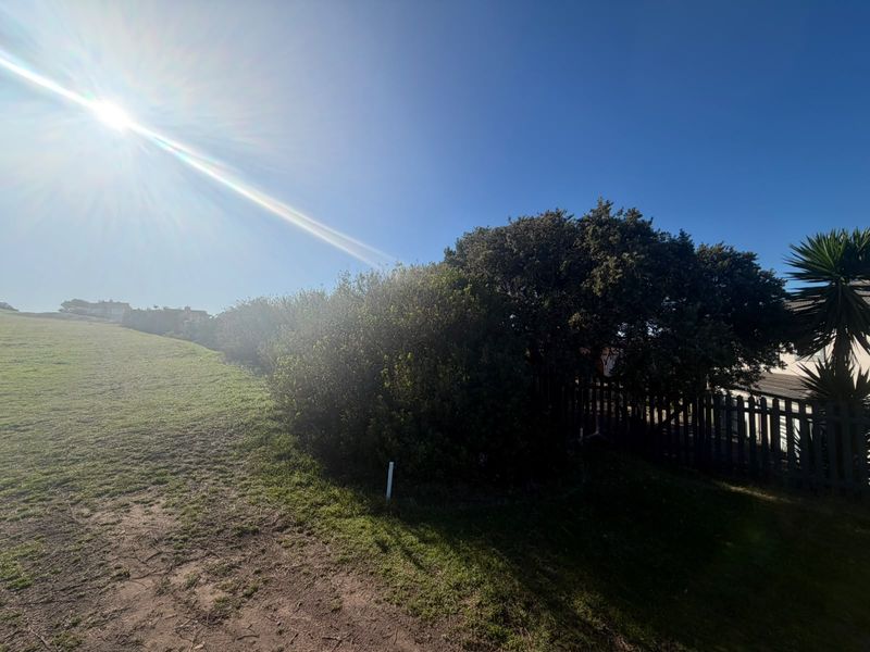 A view of the residential vacant land featuring established shrubs and perimeter fencing under a clear sky.