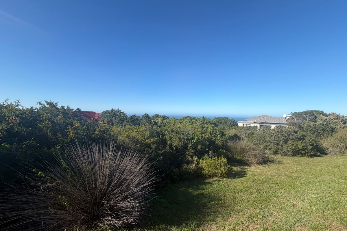 A scenic view overlooking natural coastal vegetation and surrounding landscape, showcasing the property's elevated position and outdoor environment.