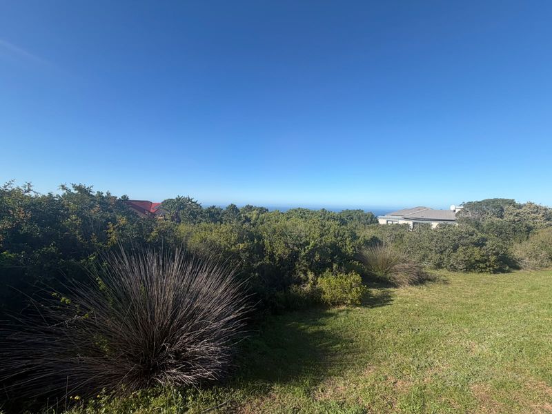 A scenic view overlooking natural coastal vegetation and surrounding landscape, showcasing the property's elevated position and outdoor environment.
