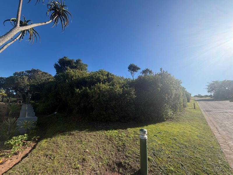 A view of the street frontage and landscaped verge bordering the vacant residential land, featuring established greenery and paved road access.