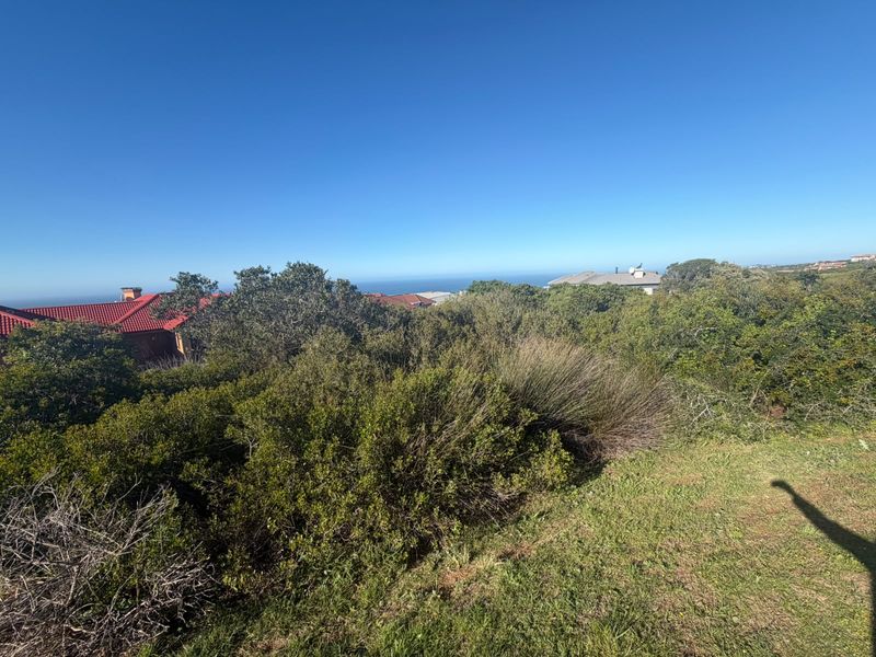 A view of the coastal landscape and surrounding residential properties from the vacant residential land.