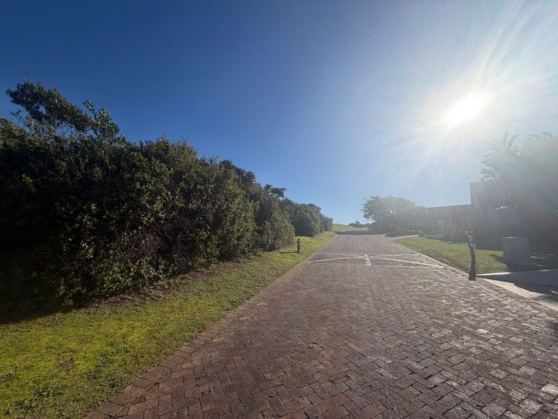 A view of a paved residential driveway leading up a gentle slope, bordered by established greenery and clear blue skies.
