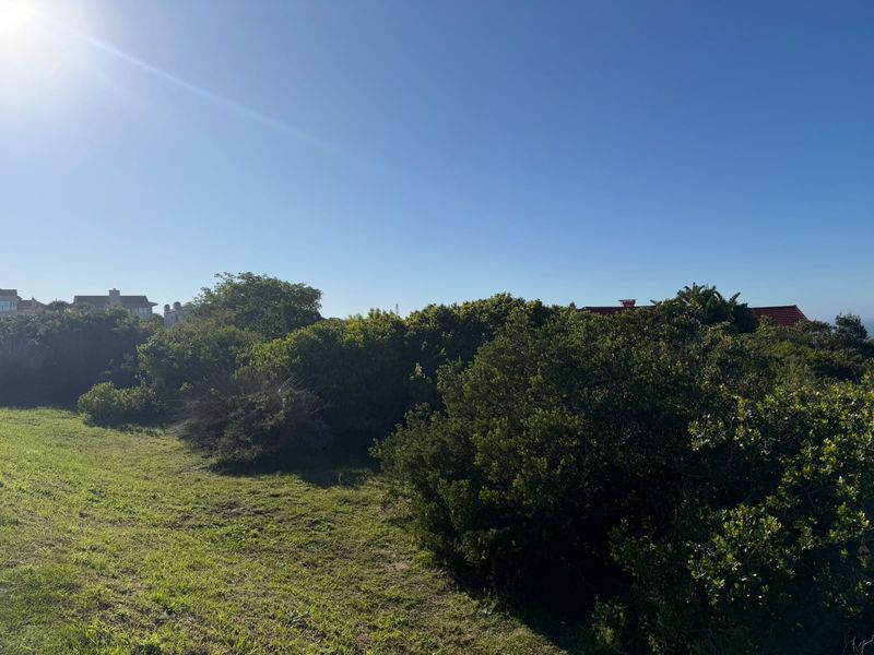 A view of a vacant residential plot featuring established native vegetation and a grass lawn area.
