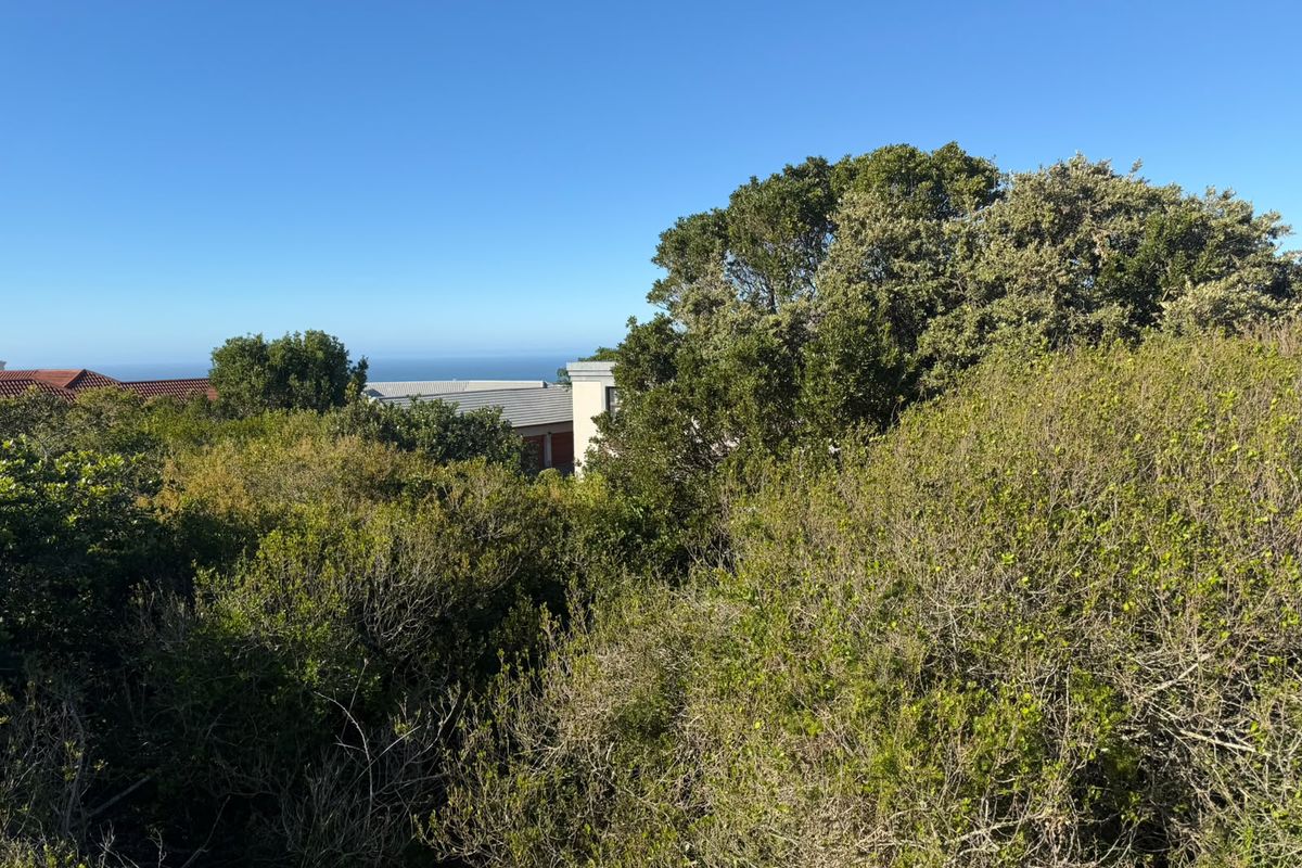 A view of the surrounding landscape and native vegetation with a glimpse of the distant ocean horizon.