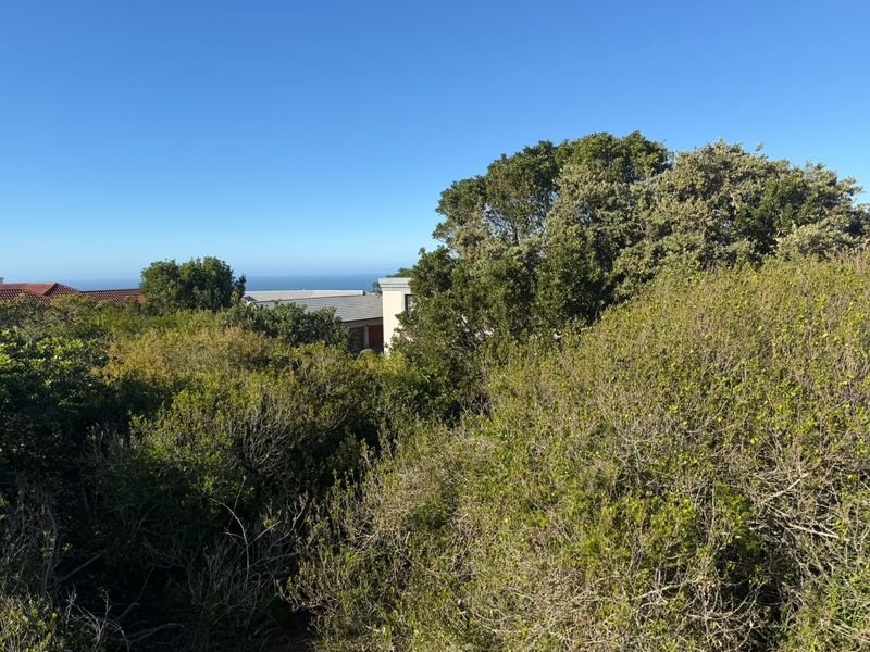 A view of the surrounding landscape and native vegetation with a glimpse of the distant ocean horizon.