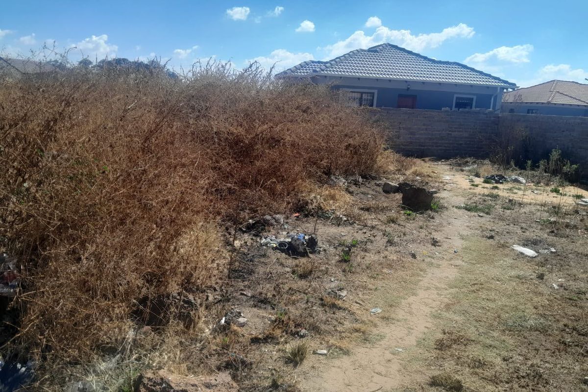 A view of the rear portion of the vacant residential plot, featuring a perimeter wall and significant overgrown vegetation.