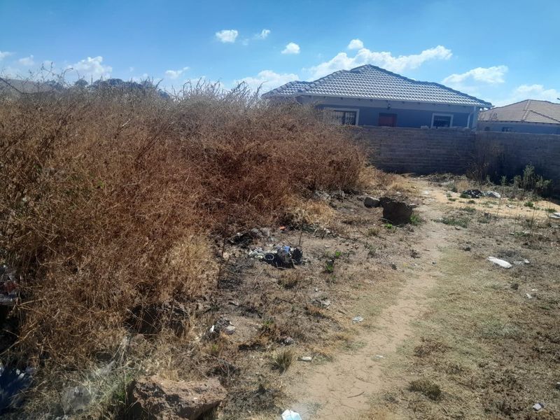 A view of the rear portion of the vacant residential plot, featuring a perimeter wall and significant overgrown vegetation.