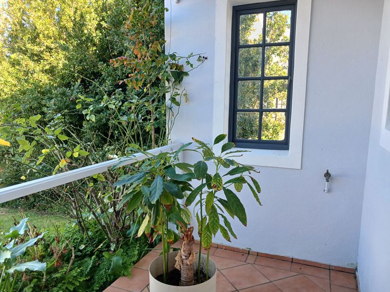 A small balcony area featuring terracotta floor tiles, a multi-pane window, and an external wall tap, overlooking a garden space.