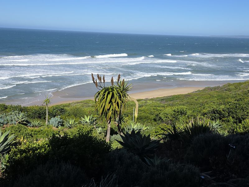 A scenic elevated view overlooking the ocean, sandy beach, and natural coastal vegetation.