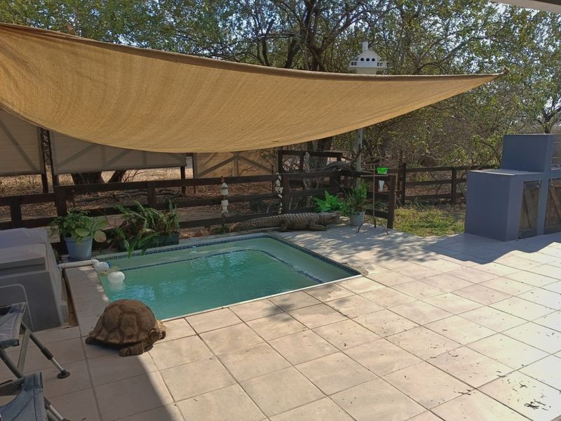 Outdoor pool area featuring a plunge pool, tiled patio, shade sail, and a built-in braai station, set against a natural garden backdrop.