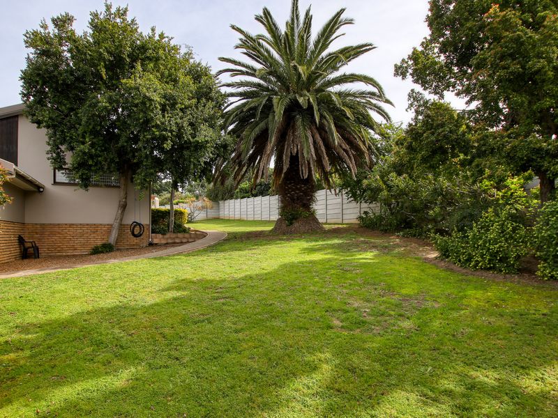 A spacious private garden featuring a large mature palm tree, established lawn, paved walkway, and secure precast concrete boundary walling.
