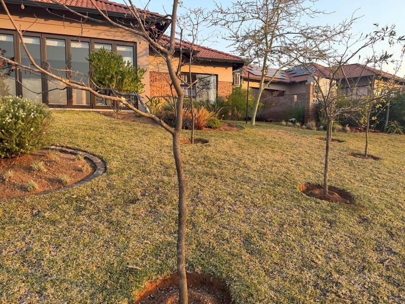 A well-maintained rear garden featuring a landscaped lawn, young trees, and a brick-clad house exterior with large sliding doors and roof-mounted solar panels.
