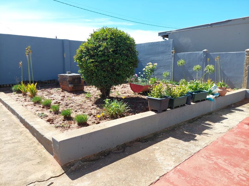 A low-maintenance garden area featuring a raised planting bed, perimeter boundary walls, and concrete paving.