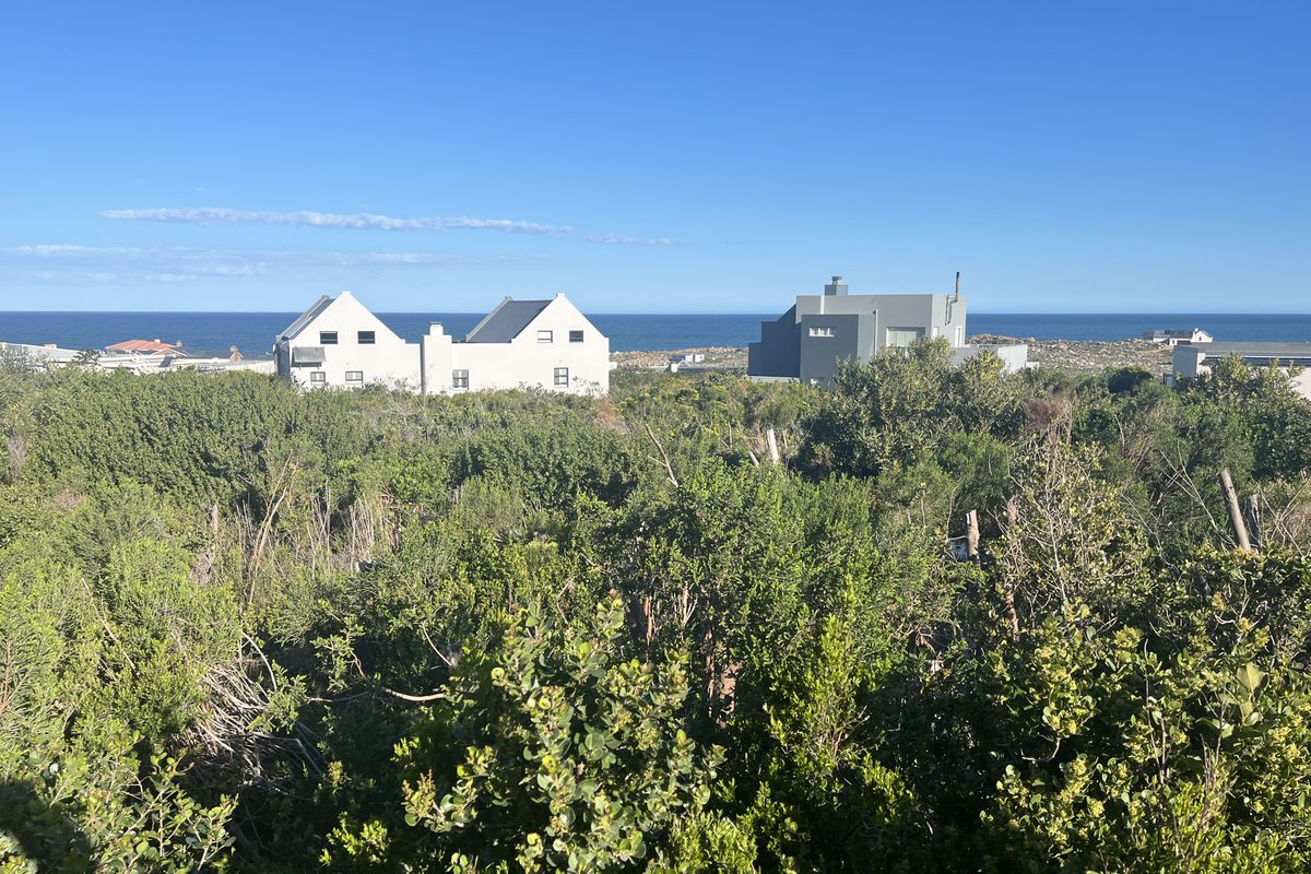 A scenic view overlooking native coastal vegetation with residential properties and the ocean visible in the background.