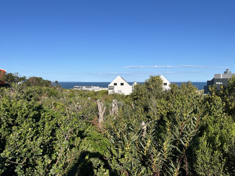 A scenic view overlooking coastal vegetation with distant ocean vistas and neighboring residential properties.