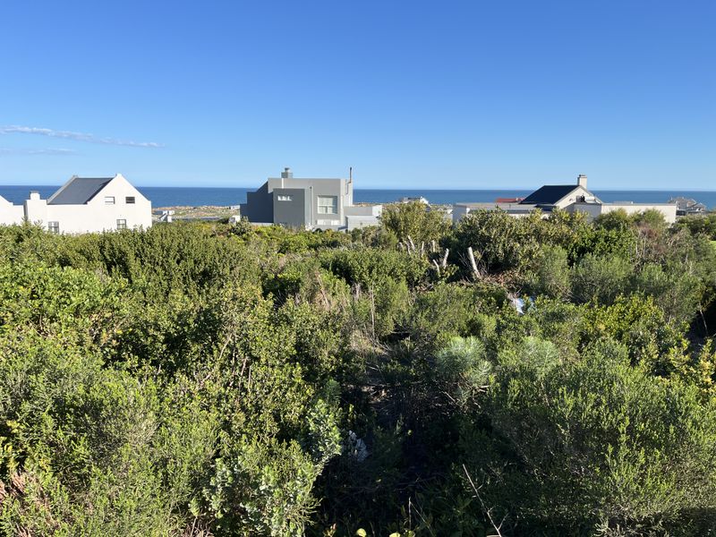 A scenic view of the coastal landscape and surrounding residential properties, showcasing the natural vegetation and ocean horizon.