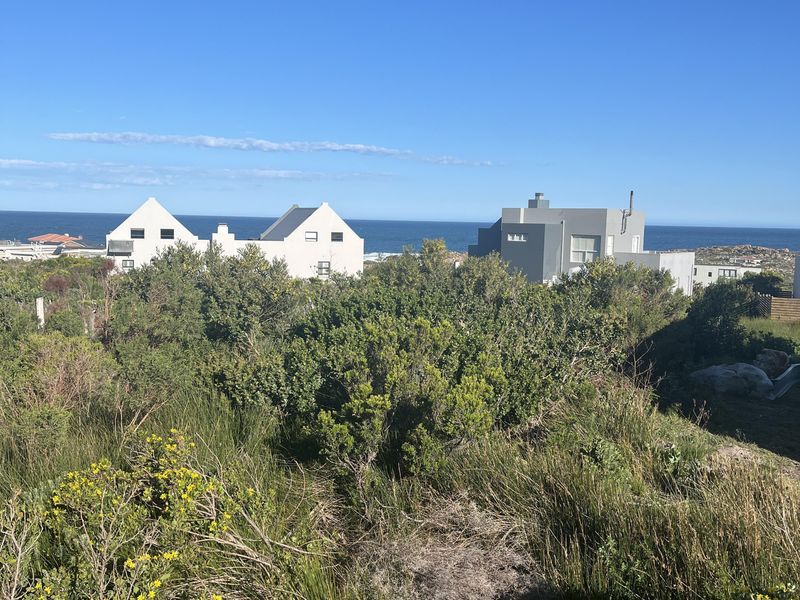 A scenic view overlooking a coastal landscape with native vegetation and neighboring residential properties in the distance.