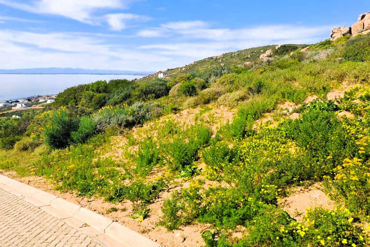 A scenic view of the coastal landscape and hillside, featuring natural vegetation and a paved curb in the foreground.