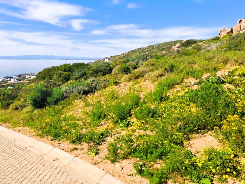 A scenic view of the coastal landscape and hillside, featuring natural vegetation and a paved curb in the foreground.