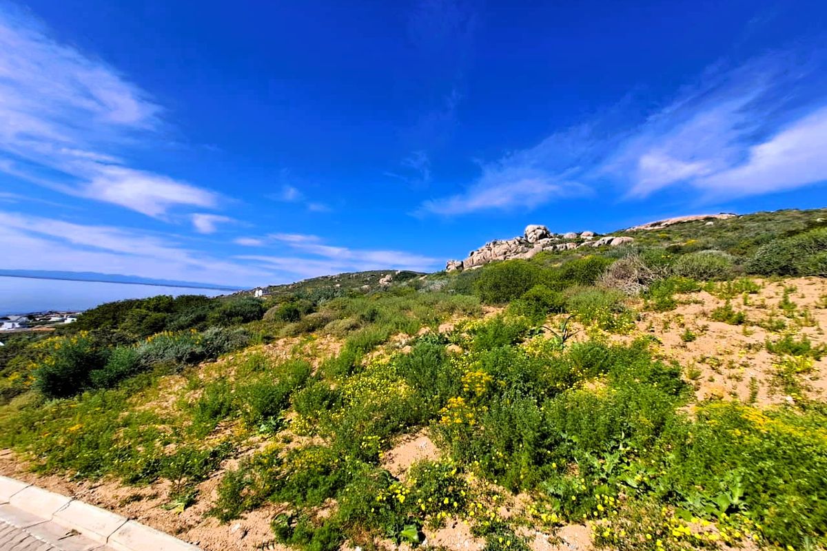 A scenic view of the vacant residential land featuring natural coastal vegetation, rock formations, and distant ocean vistas.
