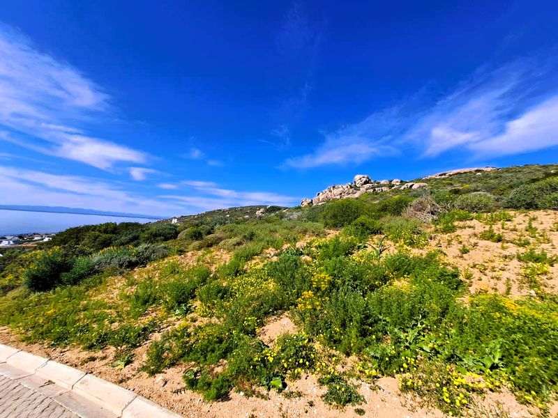 A scenic view of the vacant residential land featuring natural coastal vegetation, rock formations, and distant ocean vistas.