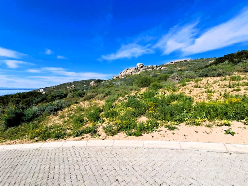A view of a vacant residential plot featuring natural vegetation, rocky outcrops, and a paved driveway with concrete kerbing.