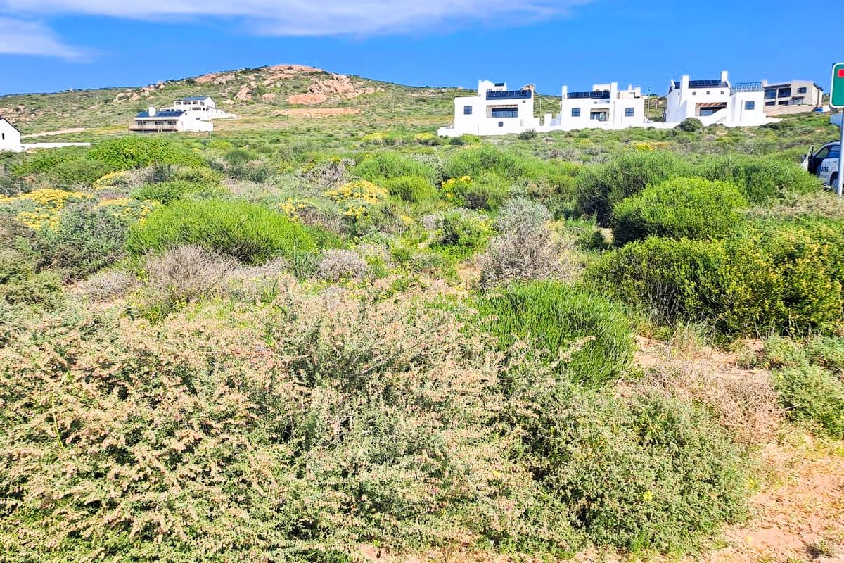A view of a vacant residential plot featuring natural coastal vegetation with established residential properties visible in the background.