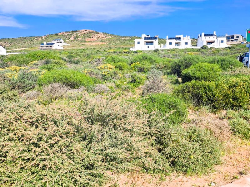 A view of a vacant residential plot featuring natural coastal vegetation with established residential properties visible in the background.
