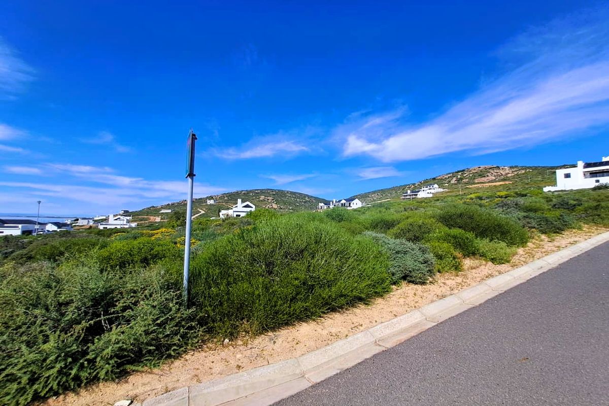 A street-level view of a vacant residential plot featuring natural coastal vegetation, asphalt road access, and concrete curbing in a hillside estate.