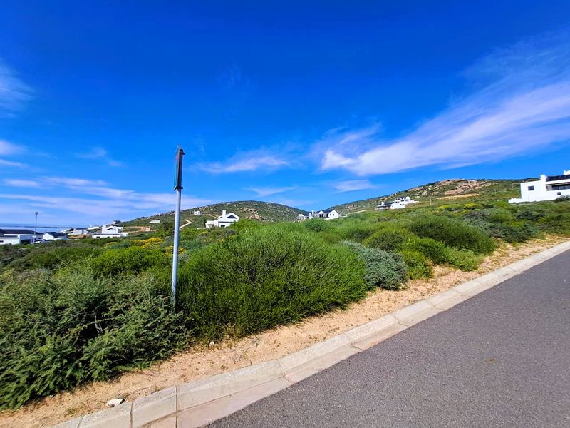 A street-level view of a vacant residential plot featuring natural coastal vegetation, asphalt road access, and concrete curbing in a hillside estate.