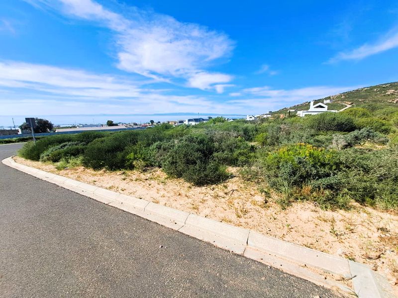 A vacant residential plot featuring natural coastal vegetation, bordered by a paved road and concrete curbing with distant ocean views.