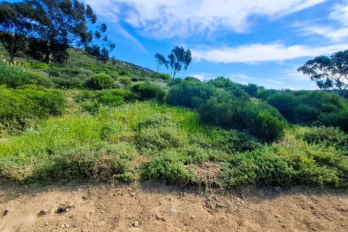 A view of a sloped, undeveloped residential plot featuring natural vegetation and mature trees under a clear blue sky.