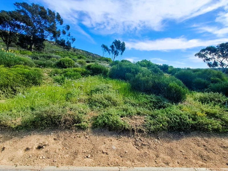 A view of a sloped, undeveloped residential plot featuring natural vegetation and mature trees under a clear blue sky.