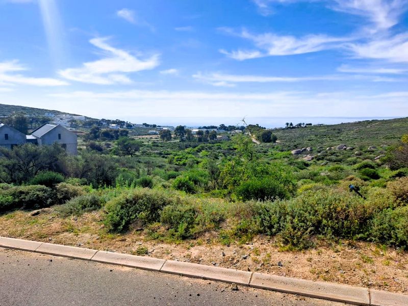 A scenic view of the natural landscape and surrounding terrain from the edge of a paved residential road.
