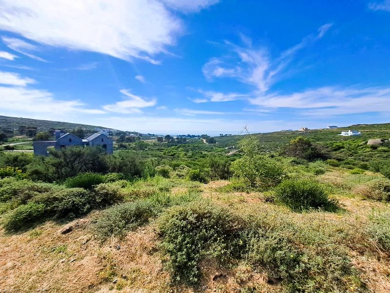 A scenic view of the natural landscape and coastal vegetation surrounding the vacant residential property.