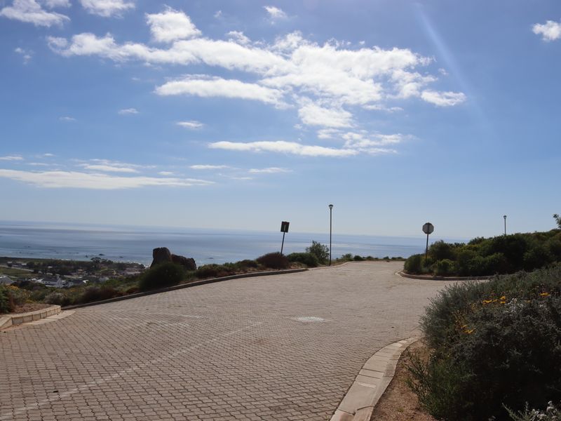 A scenic view overlooking the coastline from a paved residential street, featuring clear horizon lines and established roadside landscaping.