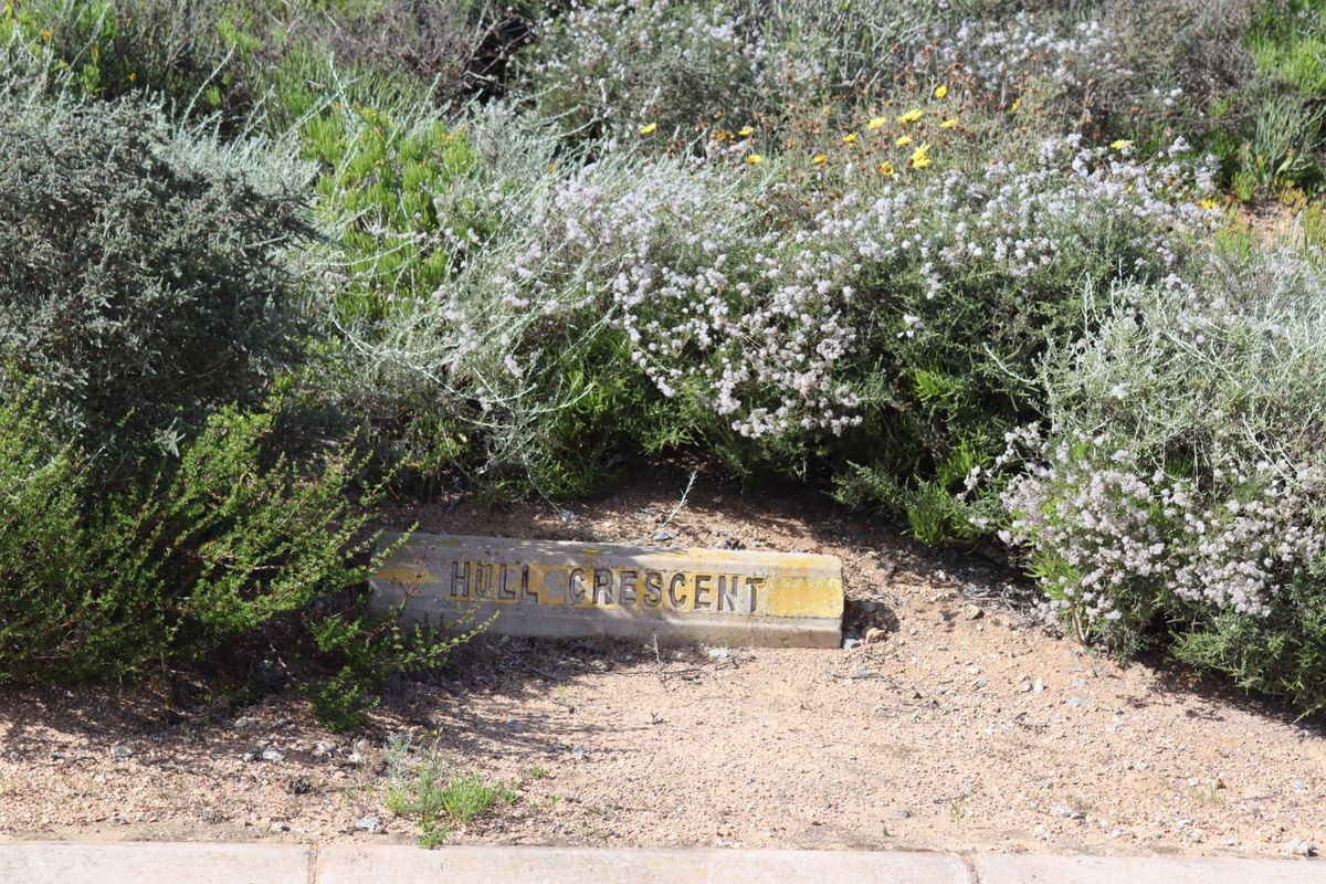 A street name sign for Hull Crescent situated in a landscaped verge area.