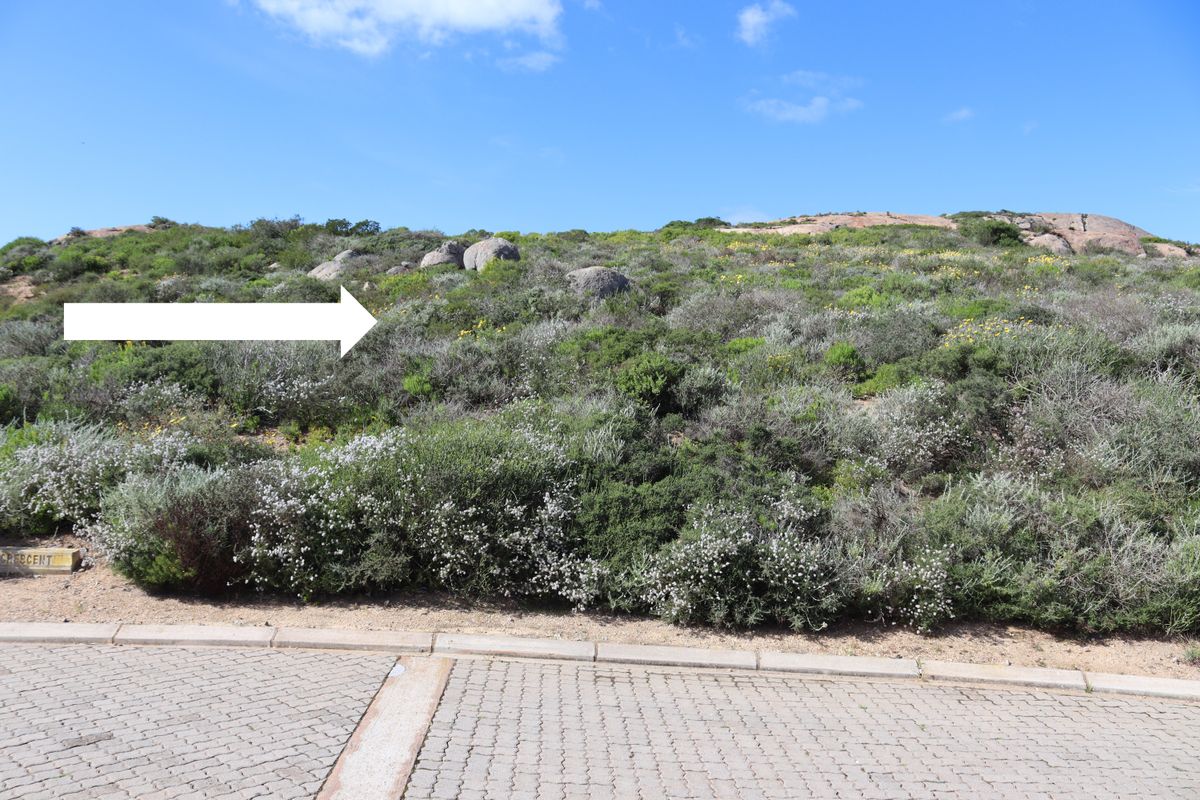 A view of a vacant residential plot featuring natural coastal vegetation and rocky outcrops, accessible from a paved street.