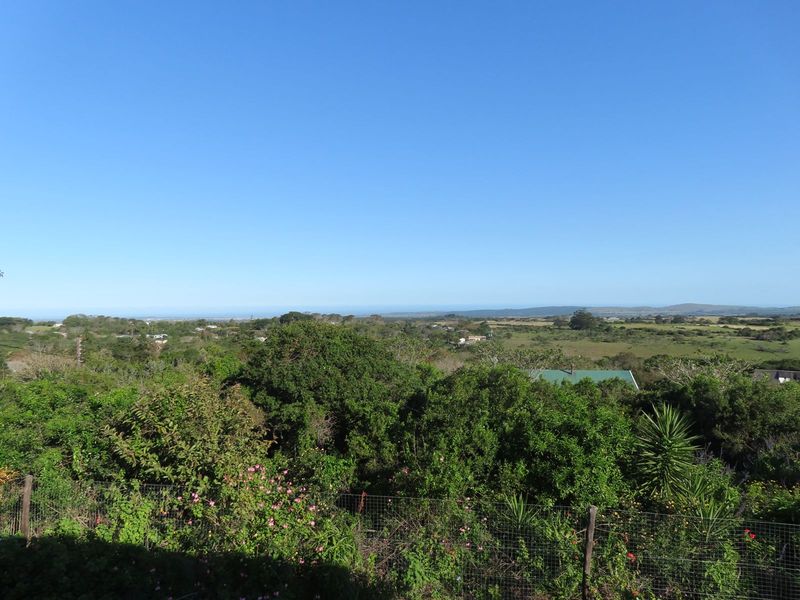 An elevated landscape view overlooking lush green vegetation and open fields under a clear blue sky.