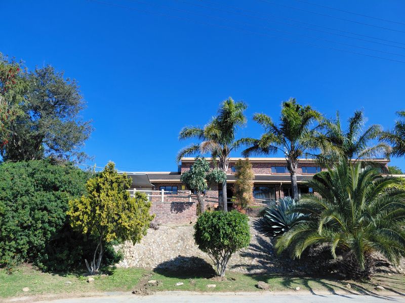 A front view of a face brick house featuring a terraced garden with a retaining wall and mature palm trees.