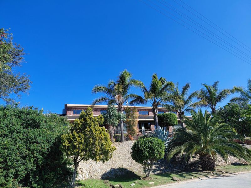 A view of the front facade of a brick house, featuring a landscaped garden with mature palm trees and a stone retaining wall.