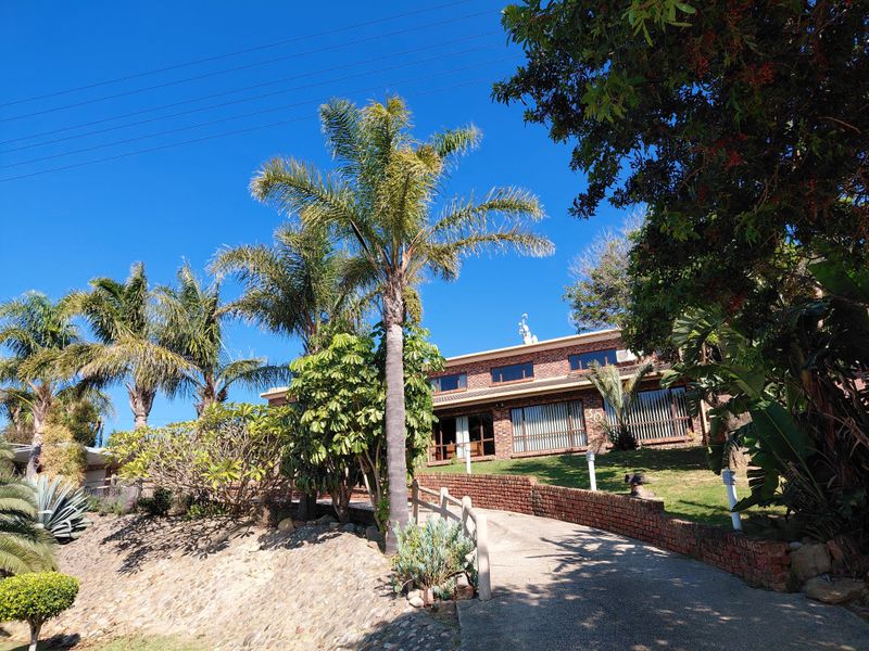 A front view of a brick house featuring a concrete driveway, established palm trees, and a landscaped garden with a brick retaining wall.