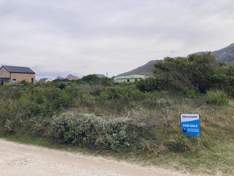 A view of a vacant residential plot featuring native vegetation and mountain views in the background.