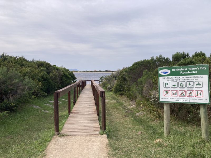 A wooden boardwalk leading towards the water at Betty's Bay, featuring a public information sign and natural coastal vegetation.