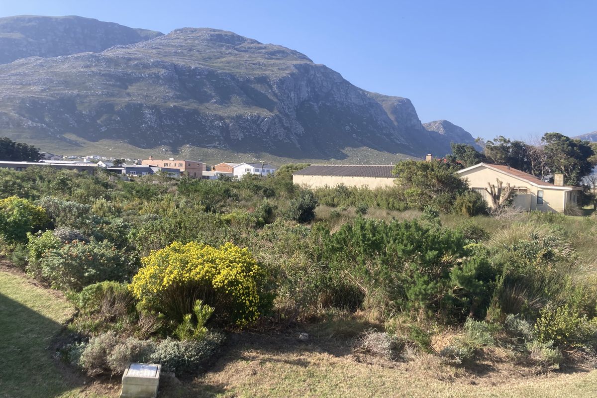 A scenic view of the surrounding landscape featuring native vegetation and a prominent mountain backdrop.