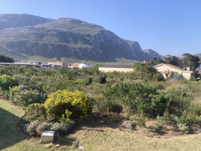 A scenic view of the surrounding landscape featuring native vegetation and a prominent mountain backdrop.