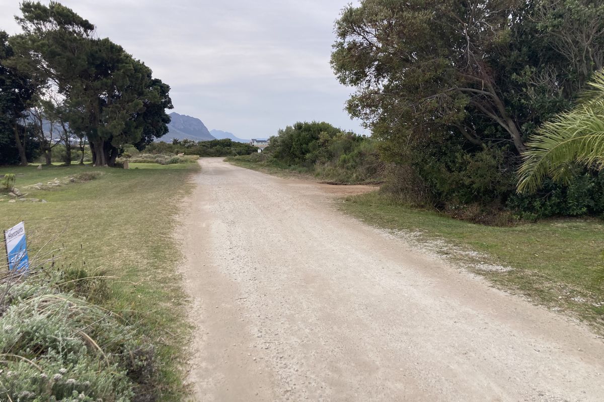 A view of an unpaved access road surrounded by mature trees and natural vegetation, typical of a vacant residential land plot.